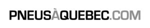 logo_pneusaquebec_480x90